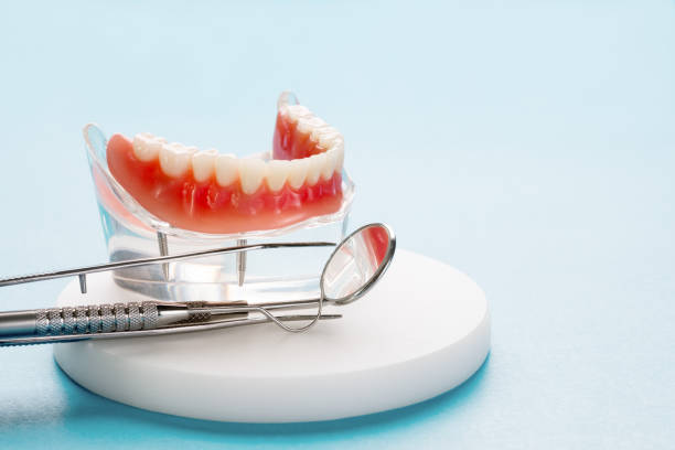 Windsor, CA Holistic Dental Care Services Company